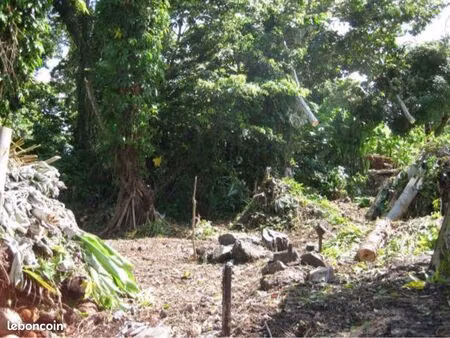 terrain constructible