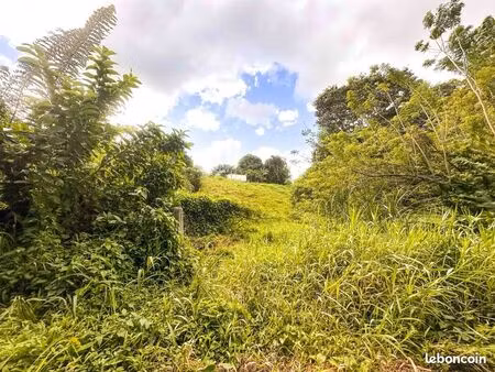 terrain 1300m2 - st joseph ( martinique)