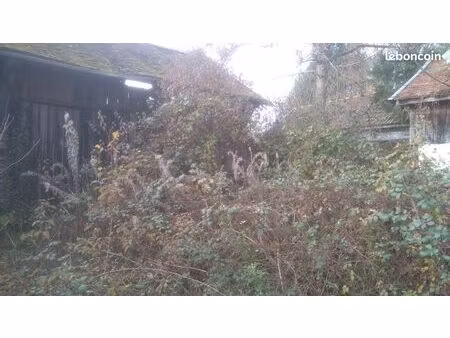 terrain et maison en ruine