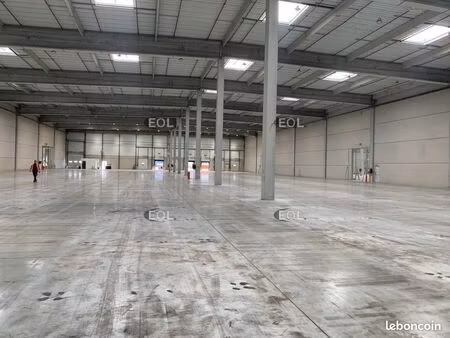 local logistique 5 531 m²