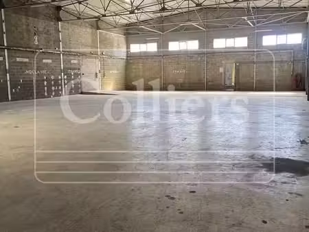local d'activité 690 m²