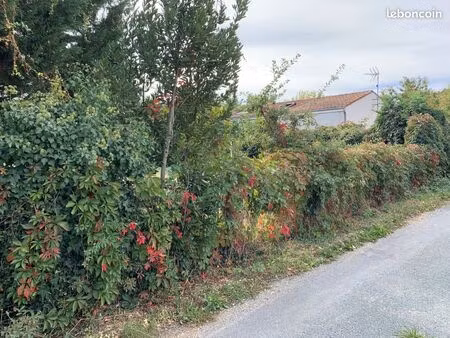 terrain à bâtir de 325 m2 au prix de 24650 à chaniers (17)