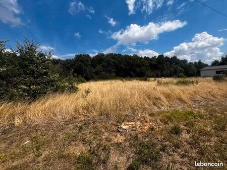 forêt 12 447 m² chaunac