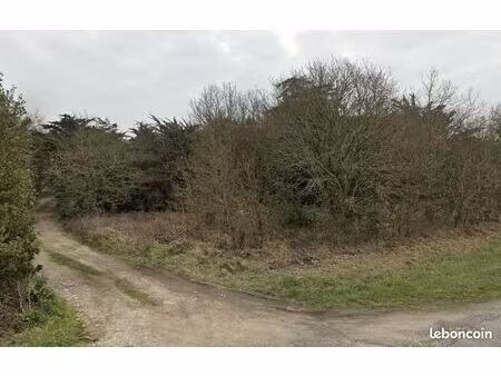 terrain 1 139 m² saint georges d oleron