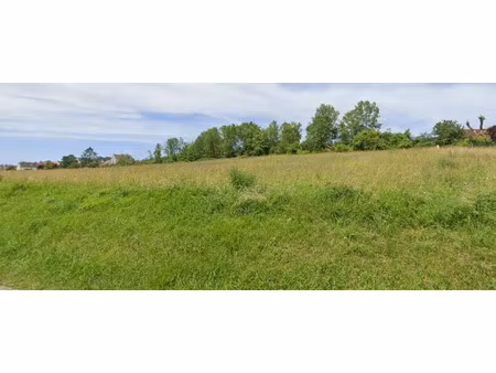 vente terrain à batir 500 m² à faverolles-et-coëmy (51170)  72 000 €