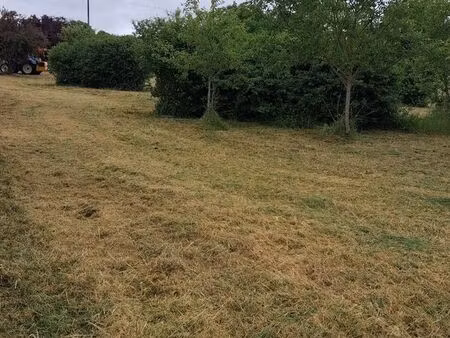 terrain agricole