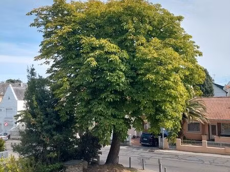 recherche appartement à st msrc