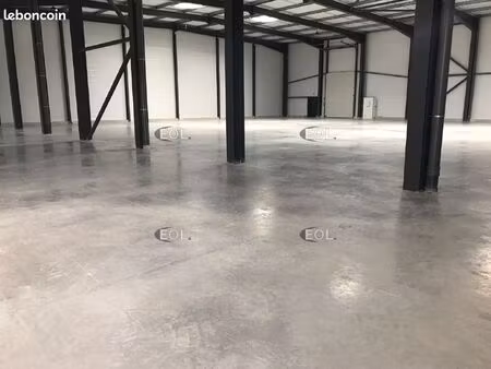 local d'activité 1 557 m²