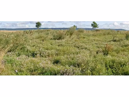vente terrain à batir 770 m² à condé-sur-marne (51150)  77 380 €