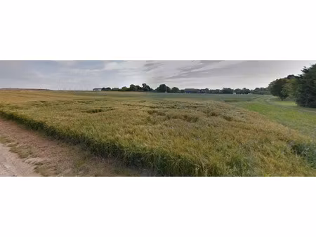 vente terrain à batir 499 m² à caurel (51110)  100 000 €