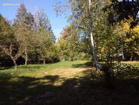 terrain constructible