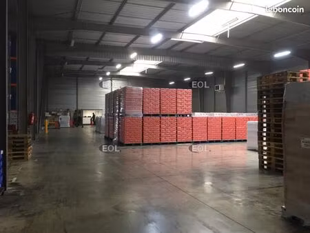 local industriel 2 000 m²