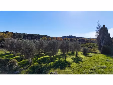 vente terrain 550 m² à saint-etienne-du-grès (13103)  150 000 €