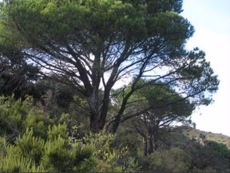 terrain d'exception les mathes la palmyre