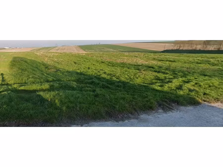 vente terrain à batir 580 m² à cernay-lès-reims (51420)  174 000 €
