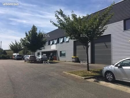 local d'activité 557 m²