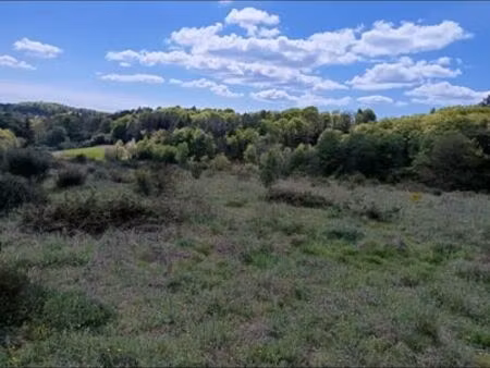 terrain agricole 2.6 ha