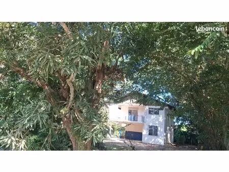 location immobiliere f4 remire montjoly