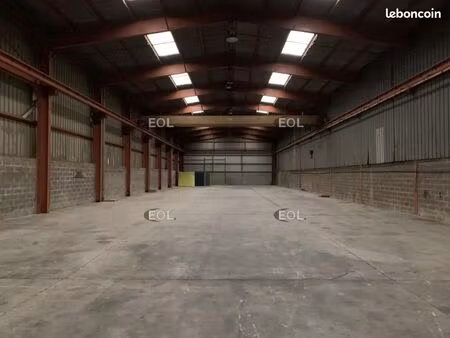 local d'activité 1 000 m²