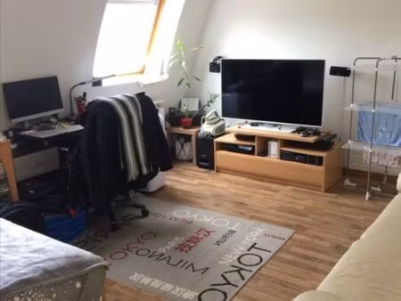 studio 1 pièce 24 m²