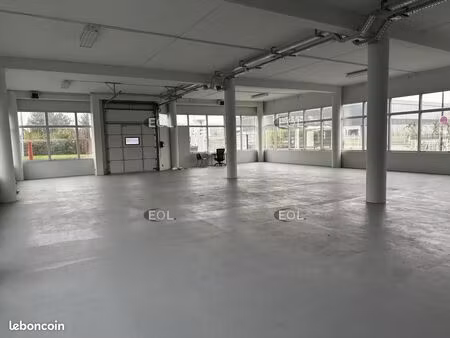 local bureaux 552 m²