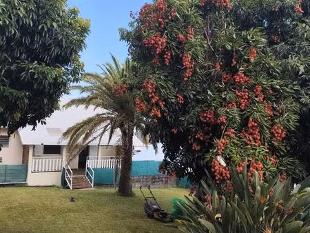 maison + jardin arboré petite île ville