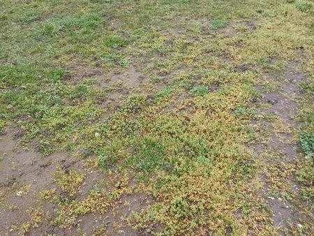 terrains à bâtir auxonne 21
