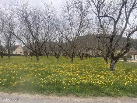 terrain 4 530 m² saint vincent de cosse