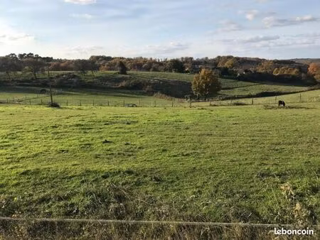 terrain 1 296 m² saint cyprien