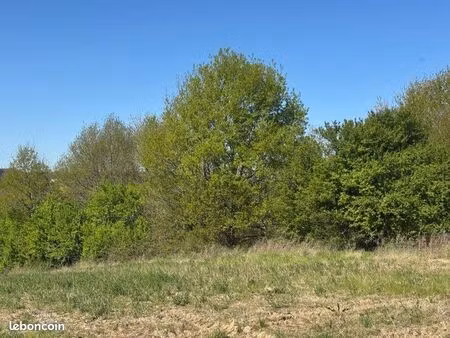 terrain constructible