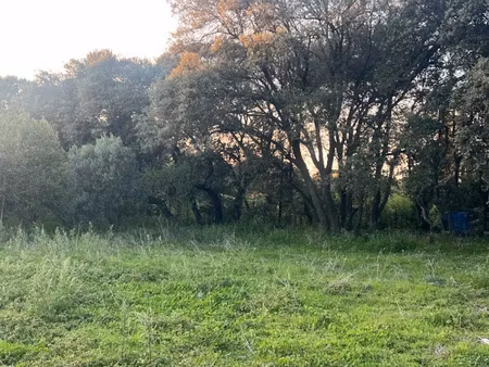 vente terrain 600 m² à salon-de-provence (13300)  260 000 €