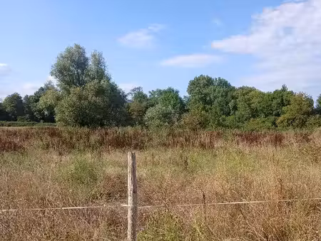 terrain 40000 m² riberac