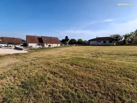 terrain constructible