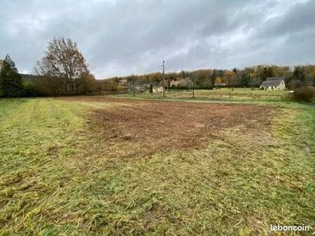recherche terrain ou bois