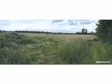 terrain 1 781 m² saint benoit des ombres