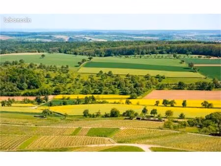 recherche d'un terrain agricole autour de valence (20km)