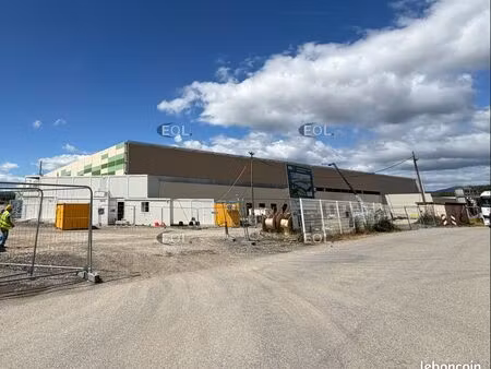 local logistique 50 166 m²