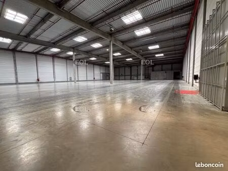 local logistique 20 019 m²