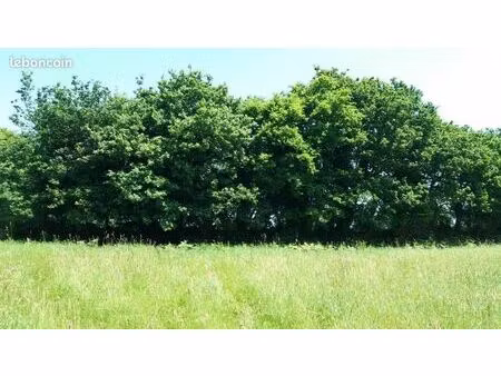 terrain 934 m² frehel