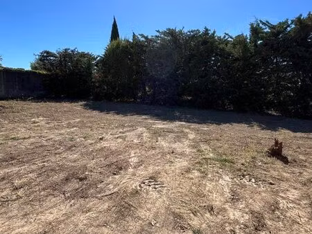 terrain 345 m2 viabilisé