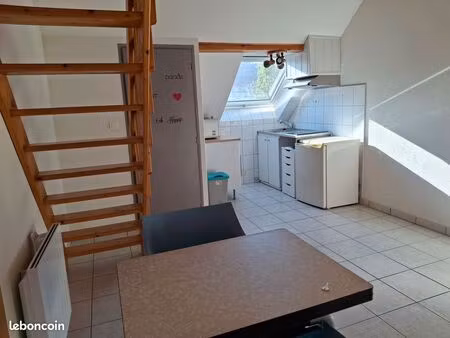 grand studio lumineux duplex avec parking