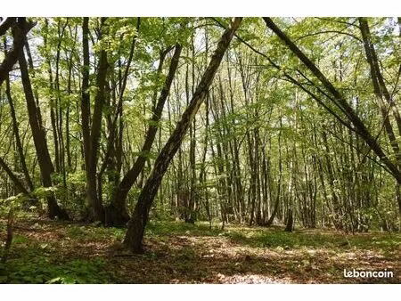 recherche terrain de loisirs 'bois ou littoral