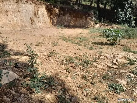 terrain constructible