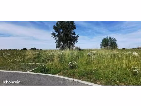 terrain 550 m² colomiers