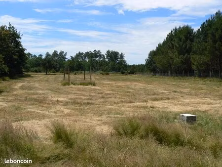 terrain agricole 35 mn de bordeaux 15 mn des plages