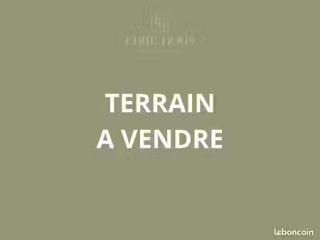 terrain 3176 m² cours-la-ville