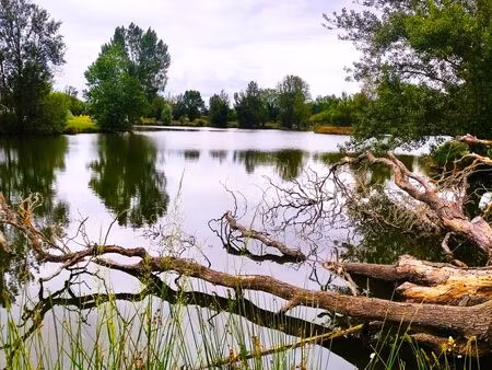 recherche lac étang gravier lac agricole secteur 31340