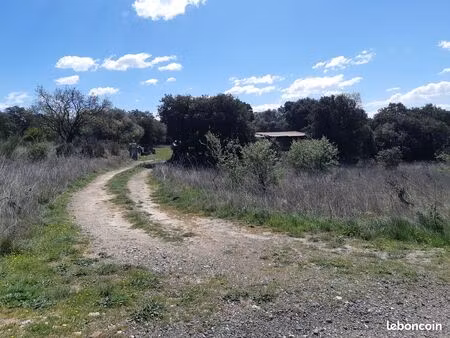 beau terrain