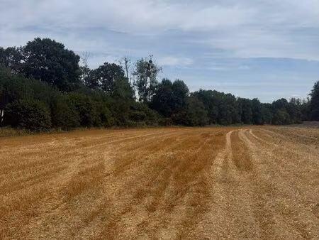 terrain de loisirs