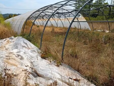 serres agricoles à louer – lagorce (gironde)